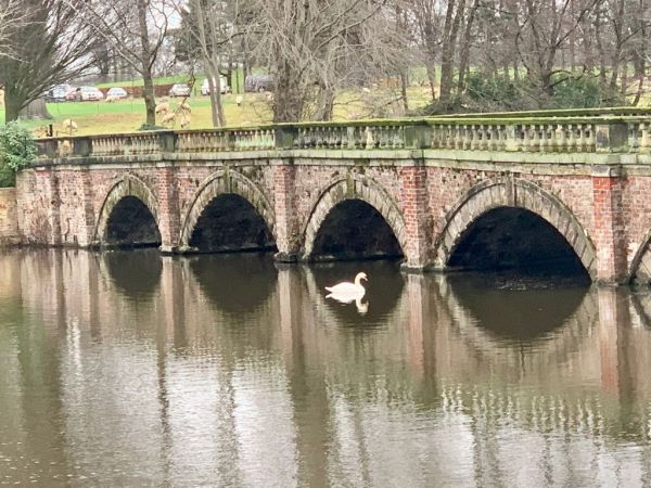 Capesthorne